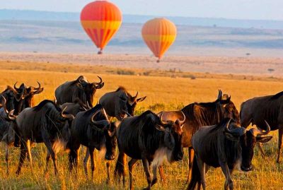 masai-mara-national-reserve