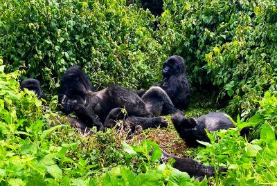 volcanoes-national-park